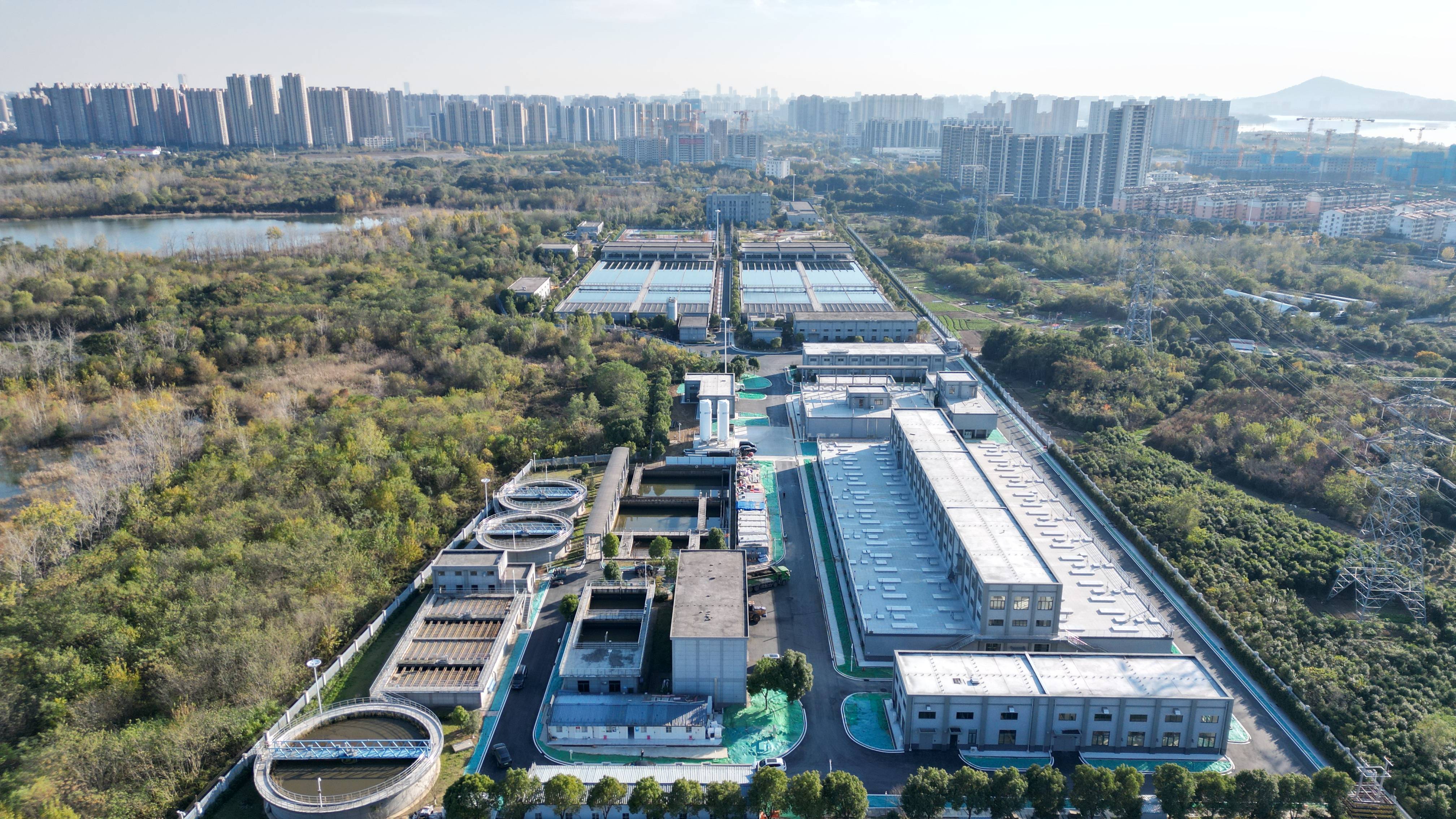 衢州市合肥专业企业价值增长(合肥市重点企业产业目录)